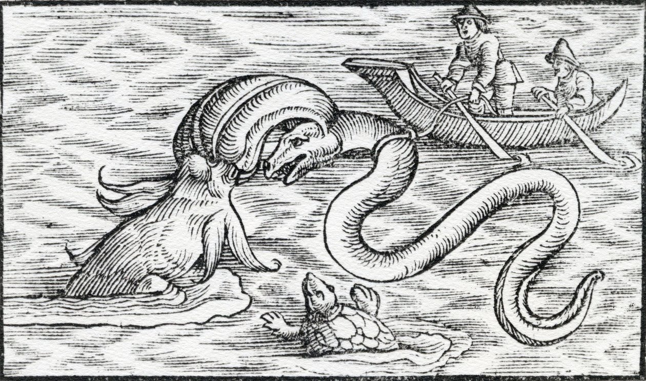 Mořské příšery, 1511 od Spanish School