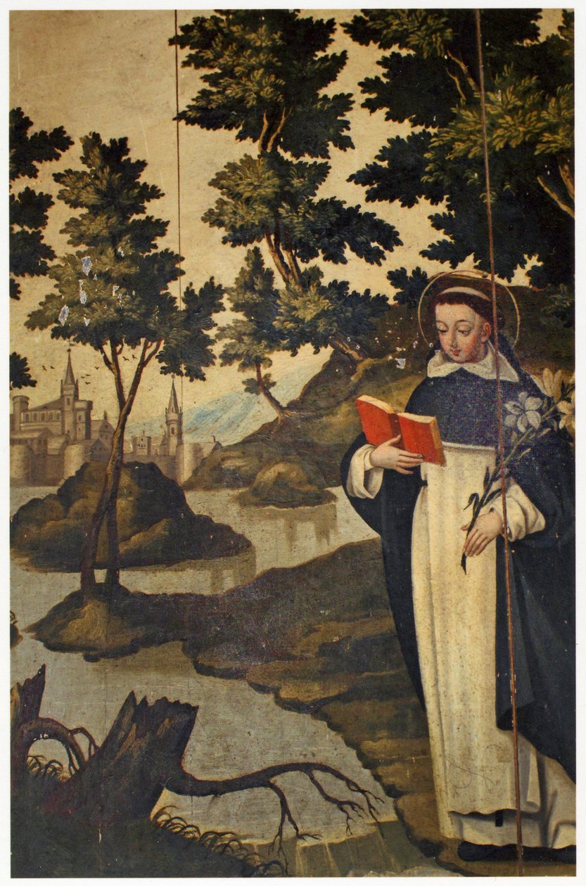 Svatý Dominik držící lilii, 17. století od Spanish School