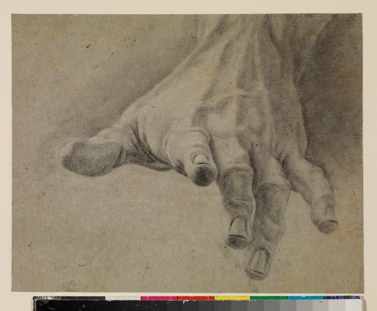 Studie levé ruky, 18. století od Spanish School