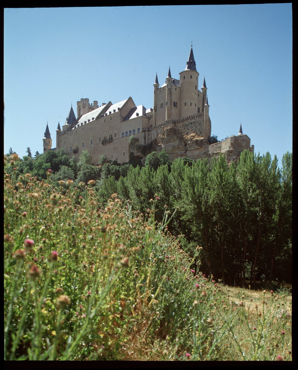 Pohled na alcazar od Spanish School
