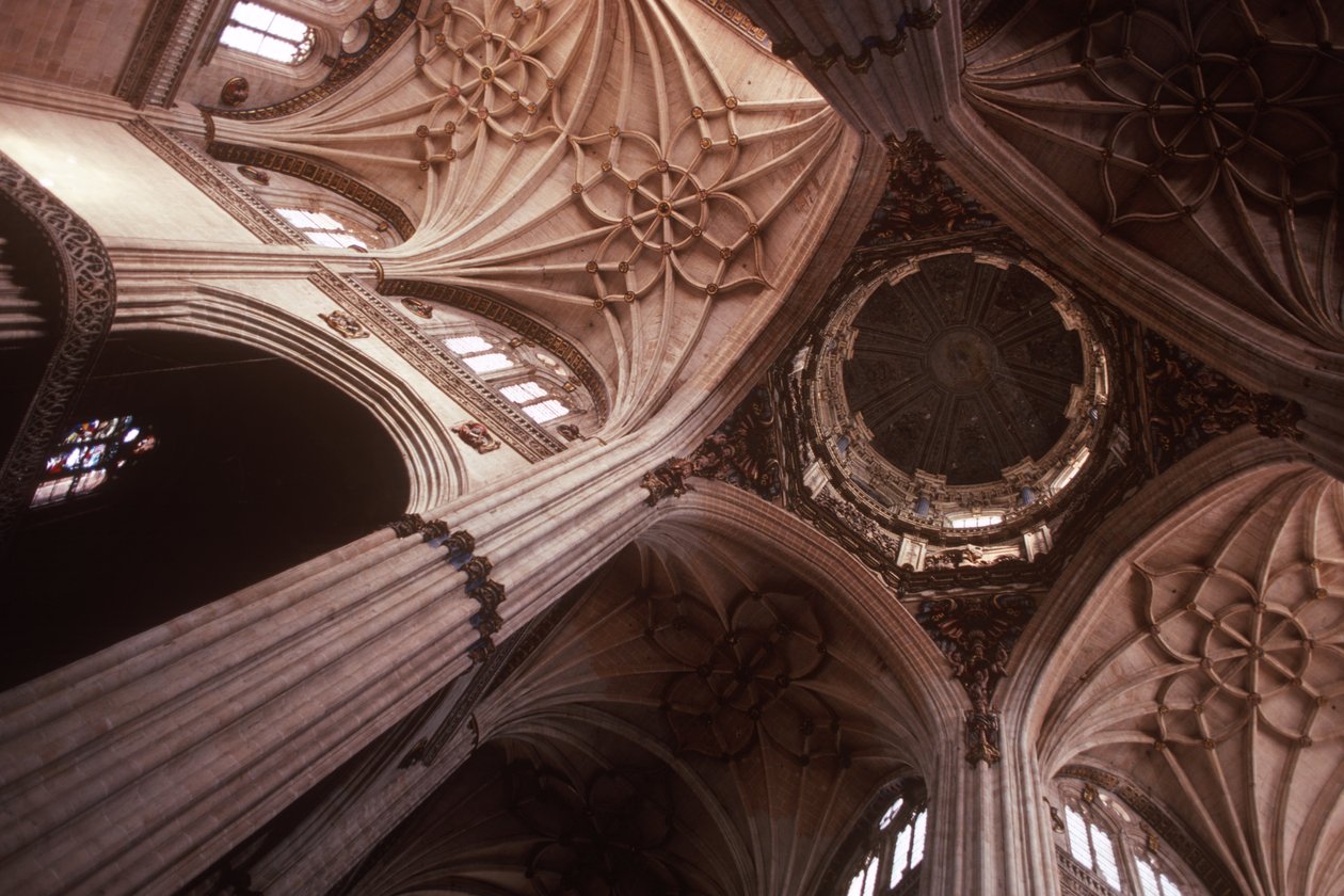 Pohled na strop na přechodu transept od Spanish School