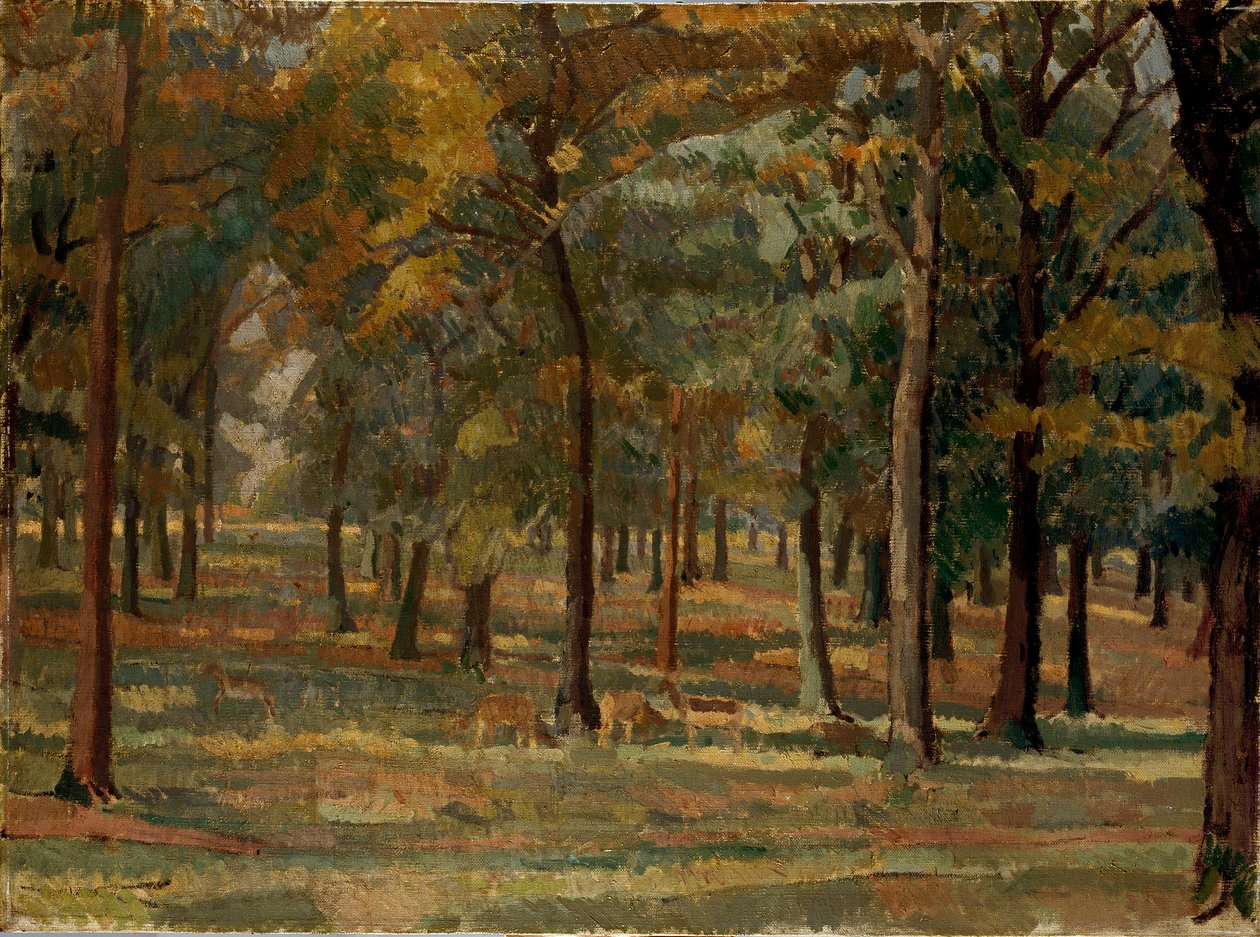 Richmond Park, 1914 od Spencer Gore
