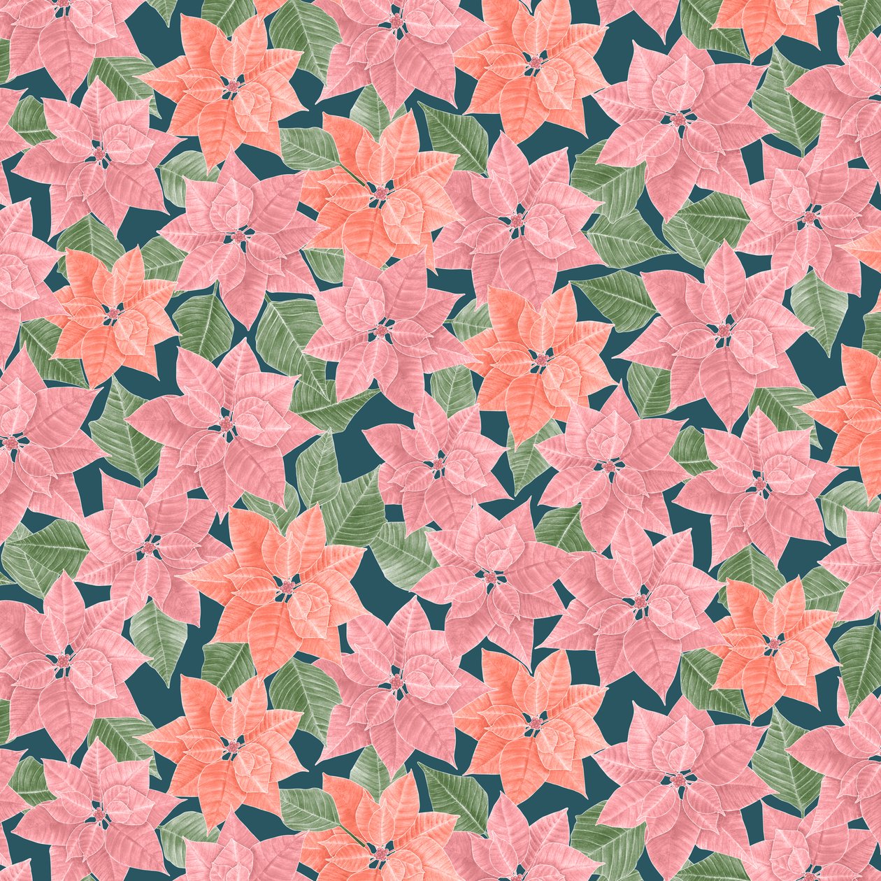 Vzor Poinsettia, 2021 (grafitová tužka a digitální tisk) od Stacy Hsu