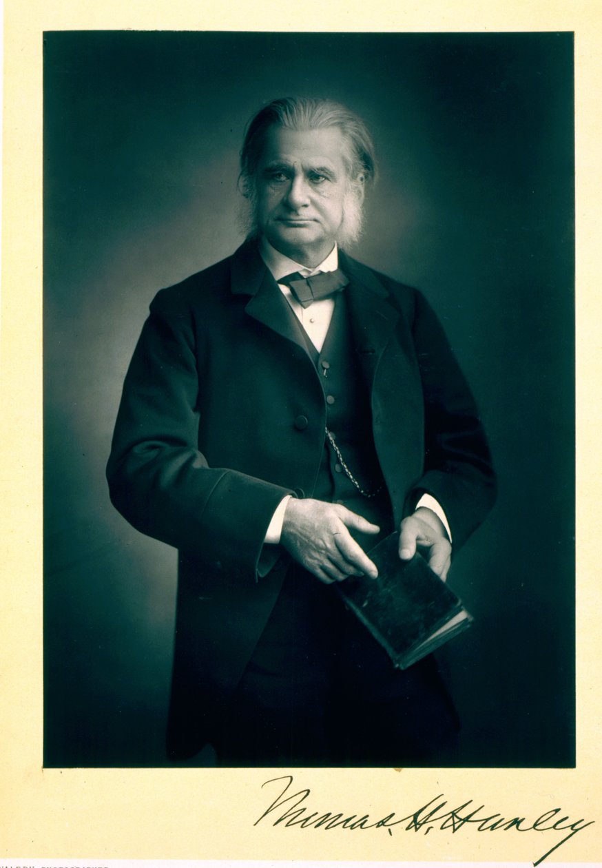 Profesor Thomas H. Huxley (1825-95), biolog, portrétní fotografie od Stanislaus Walery