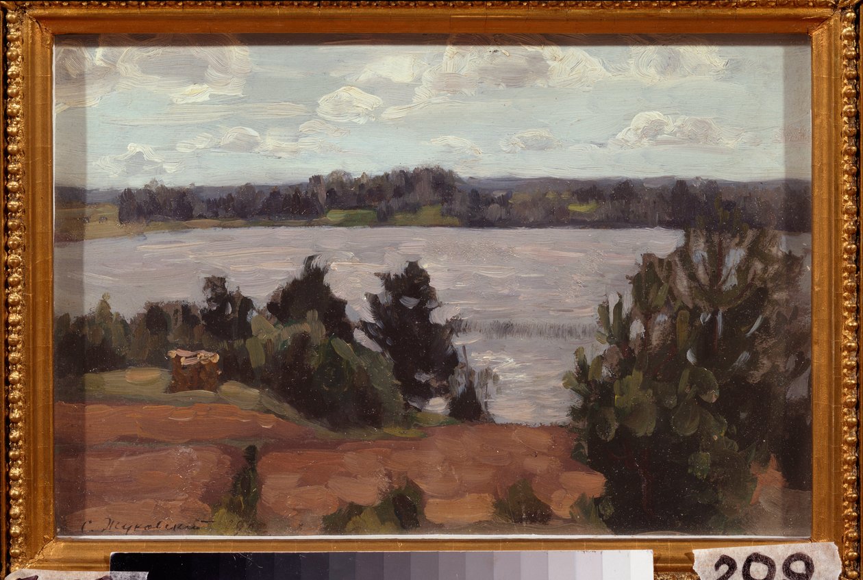 Na břehu jezera. Dílo Stanislava Yulianoviče Žukovského (1873-1944), olej na kartonu od Stanislav Joulianovitch Joukovski