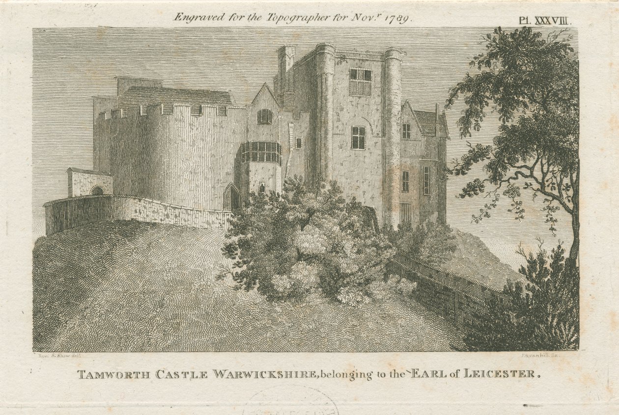 Hrad Tamworth: rytina, nd [c 1799] (tisk) od Stebbing Shaw