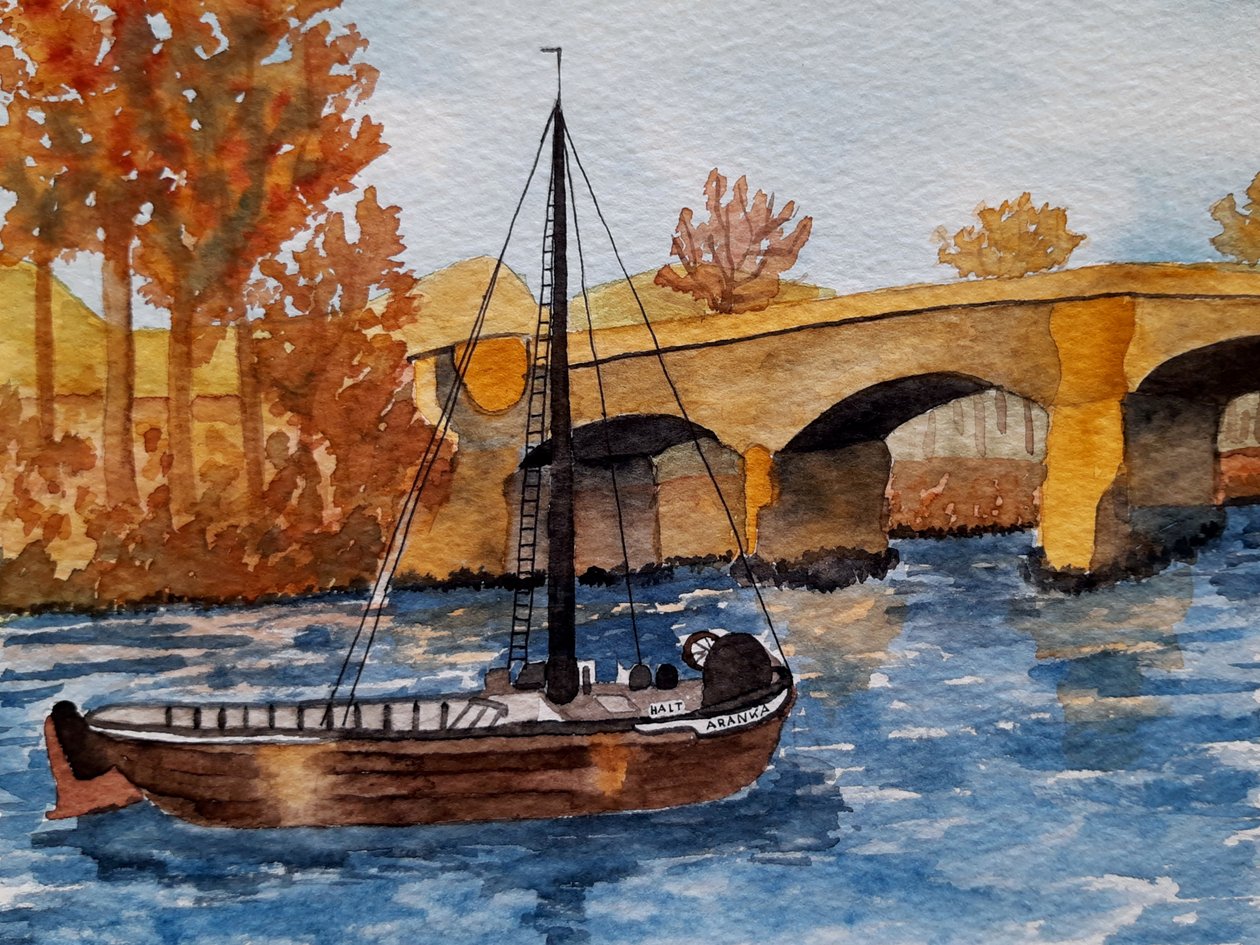 Aranca od Steegs Art Karin