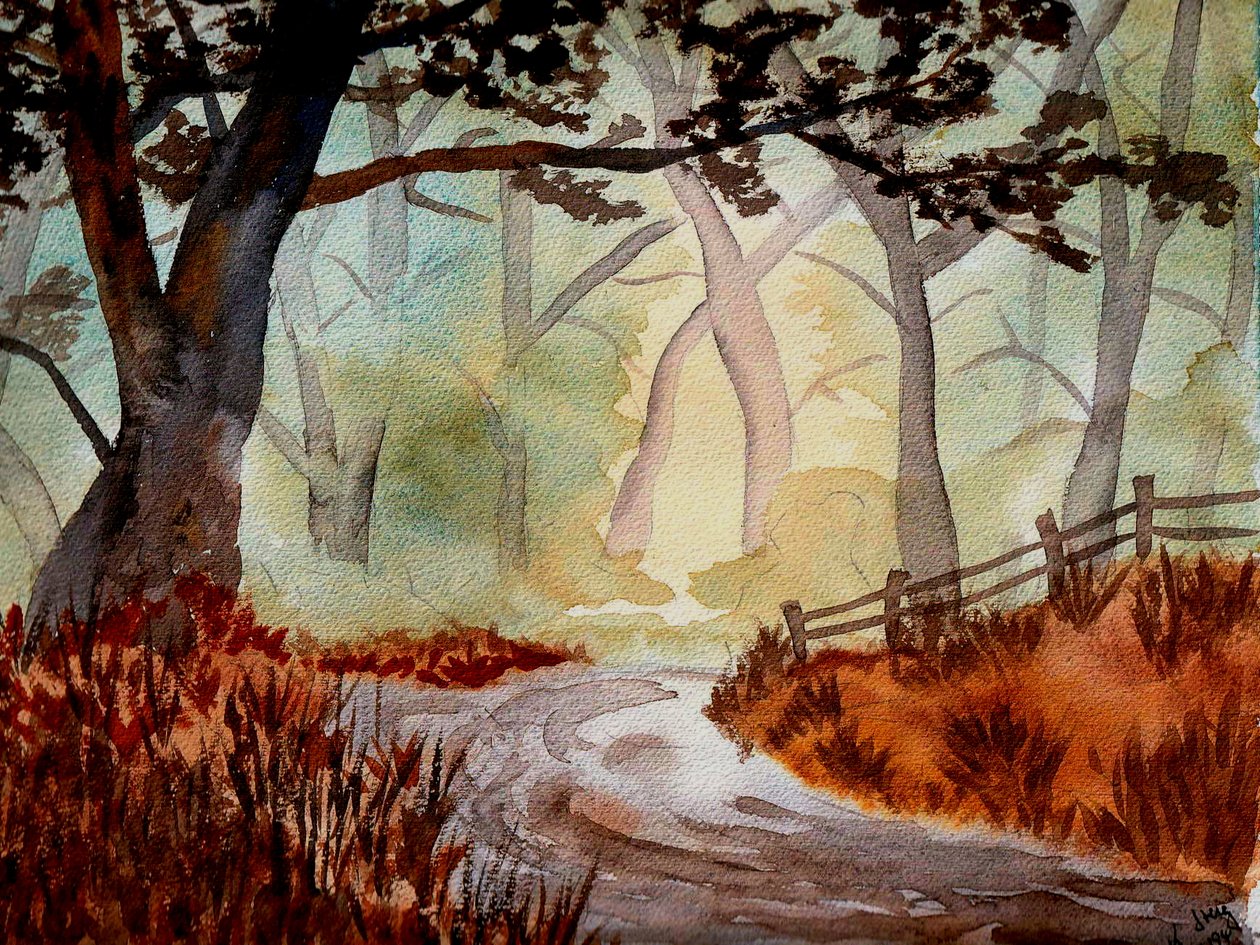 Začarovaný les od Steegs Art Karin
