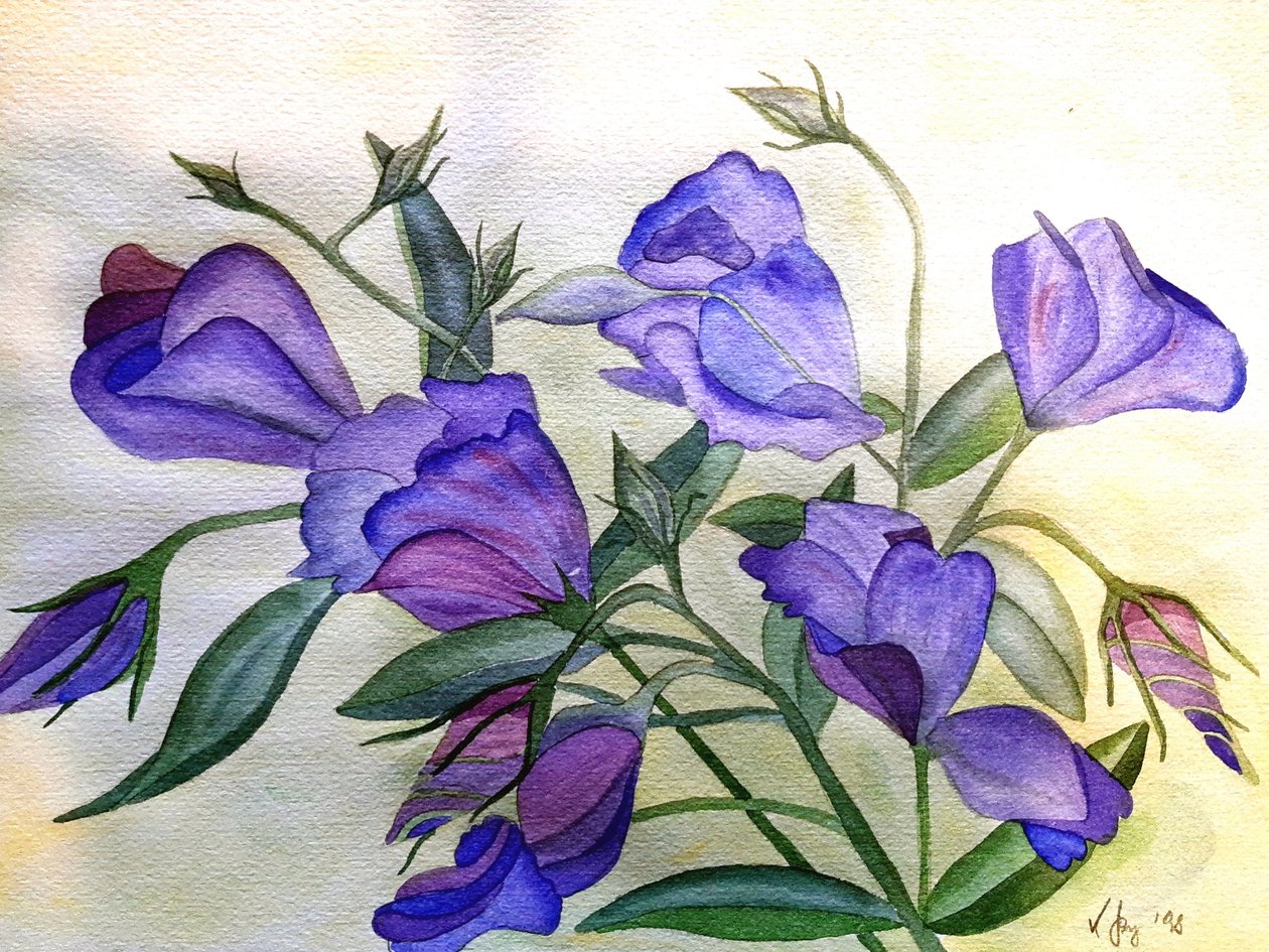 fialové květy od Steegs Art Karin