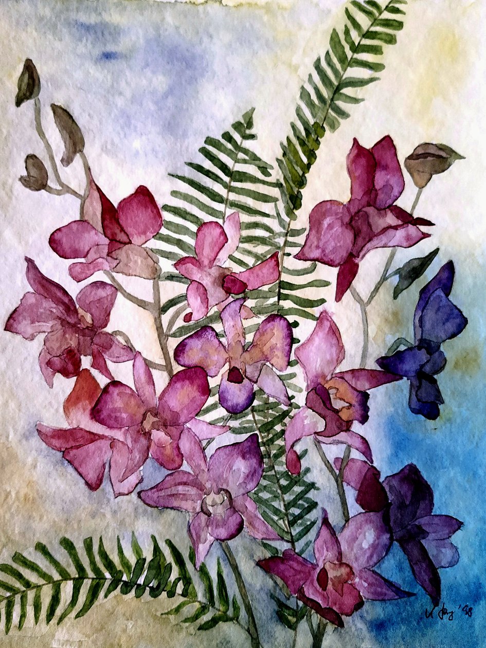 Orchideje od Steegs Art Karin