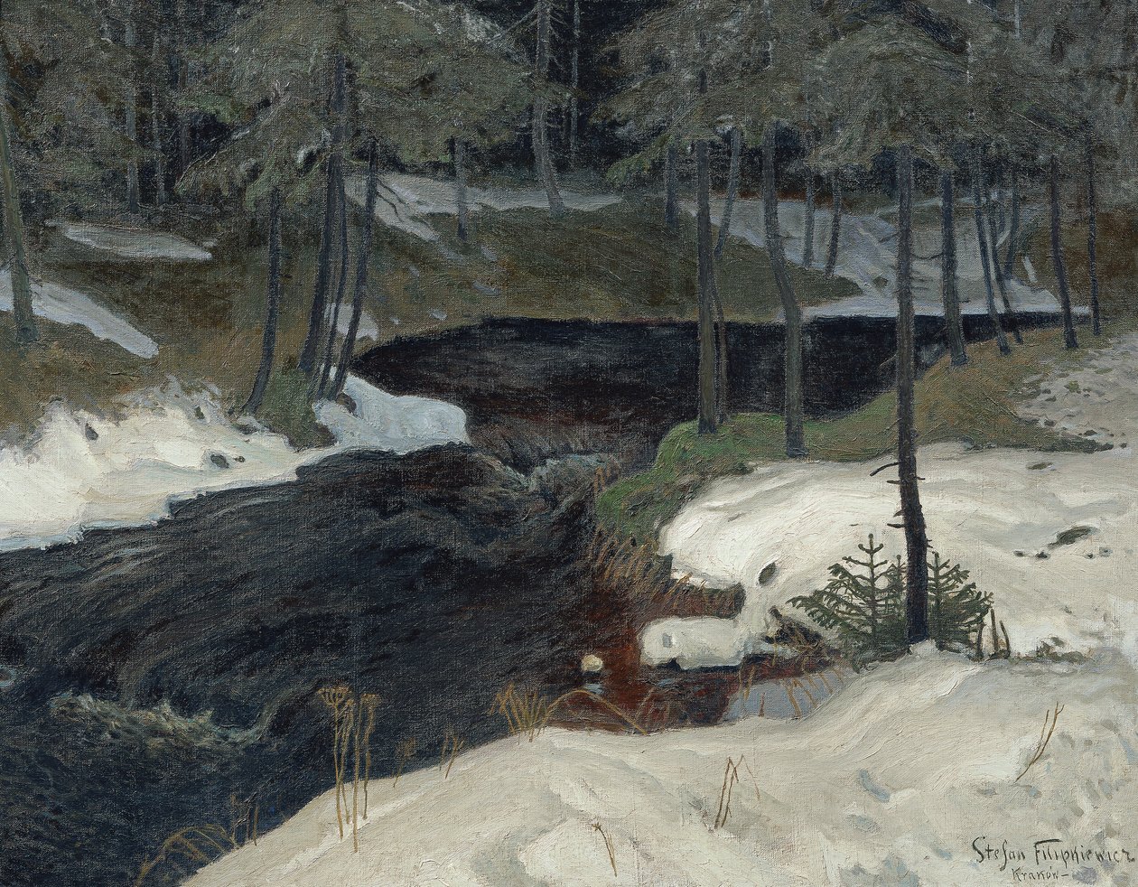 Bergstrom od Stefan Filipkiewicz