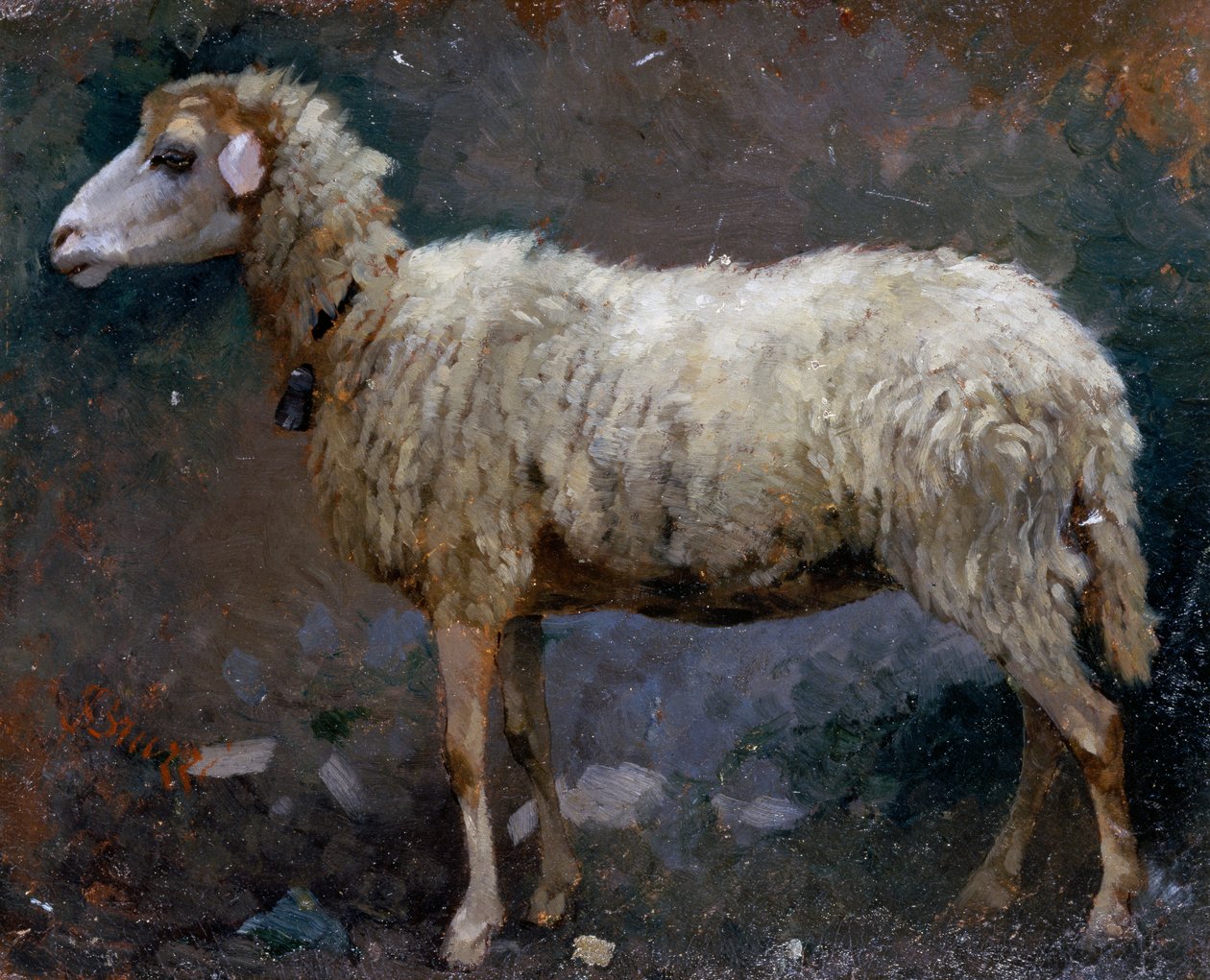 Ovce z profilu, malba Stefano Bruzzi (1835-1911), olej na kartonu od Stefano Bruzzi