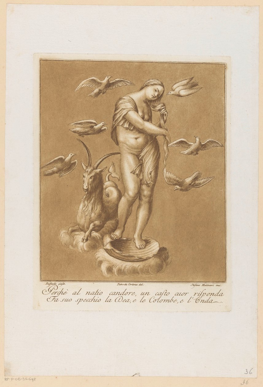 Venuše Anadyomene Plafondschilderingen van de Loggia di Galatea v de Villa Farnesina te Rome (název seriálu) od Stefano Mulinari