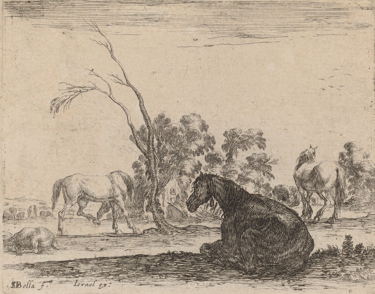 Koně na pastvině, 1642. od Stefano della Bella