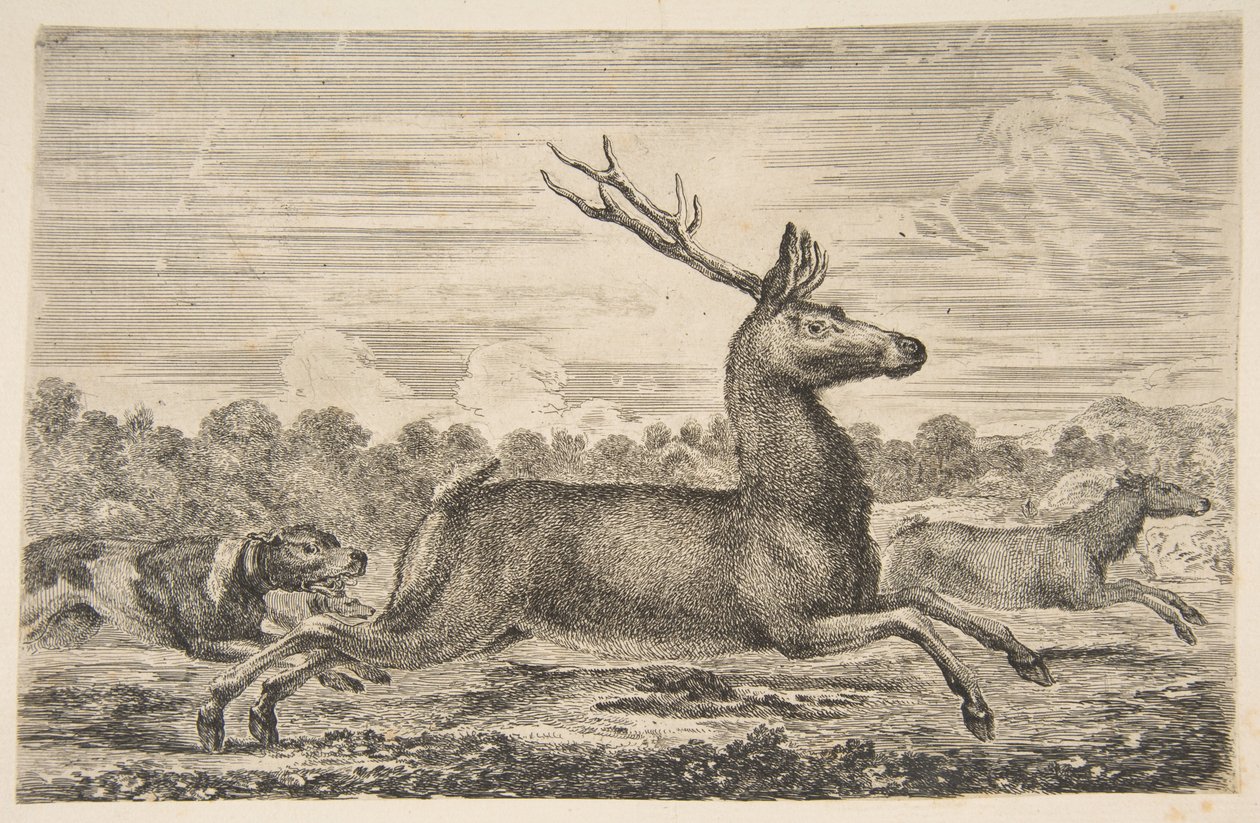 Honiči pronásledují jelena a srnu, ca. 1654. od Stefano della Bella