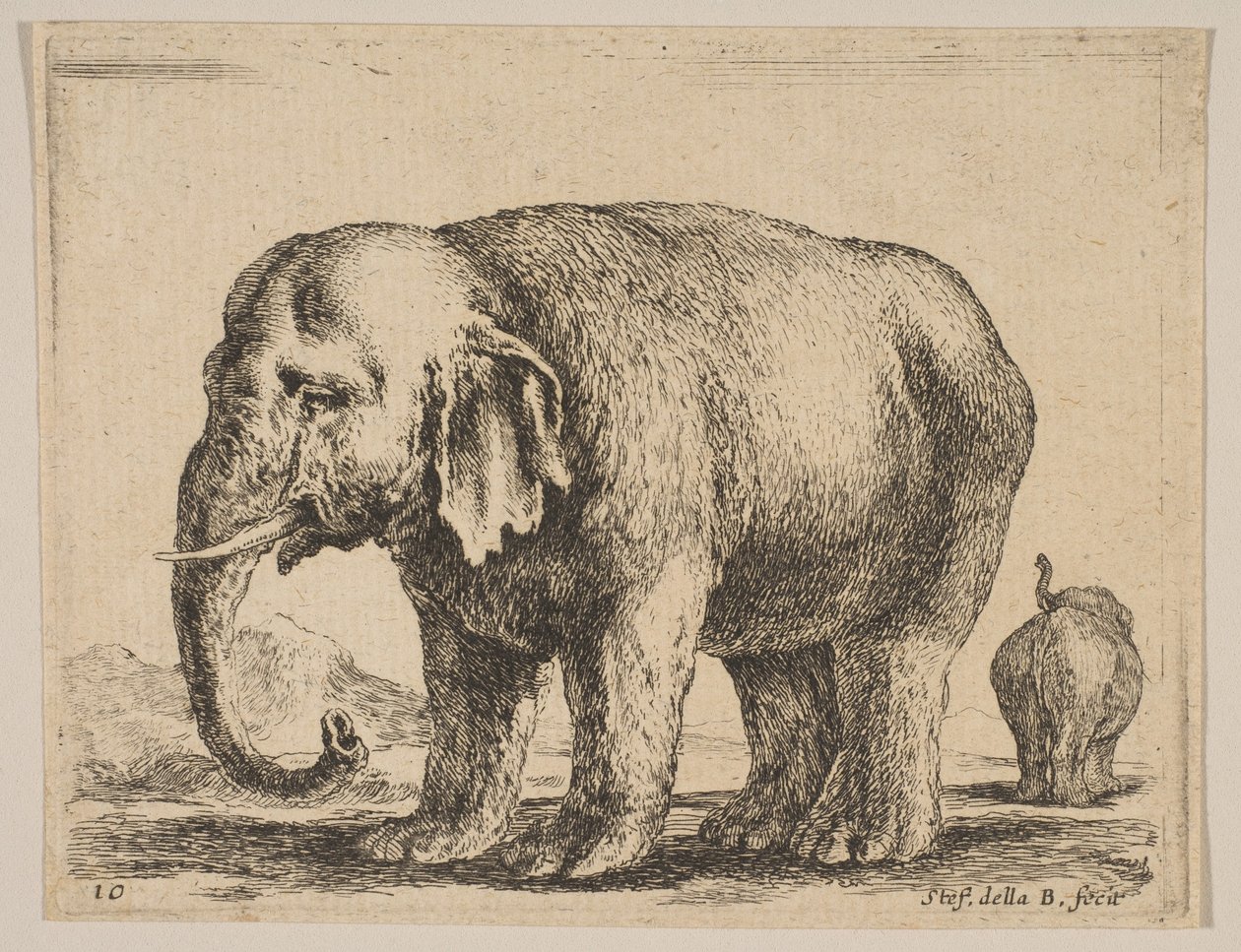 Deska 10: slon, z Různá zvířata Diversi animali, ca. 1641. od Stefano della Bella