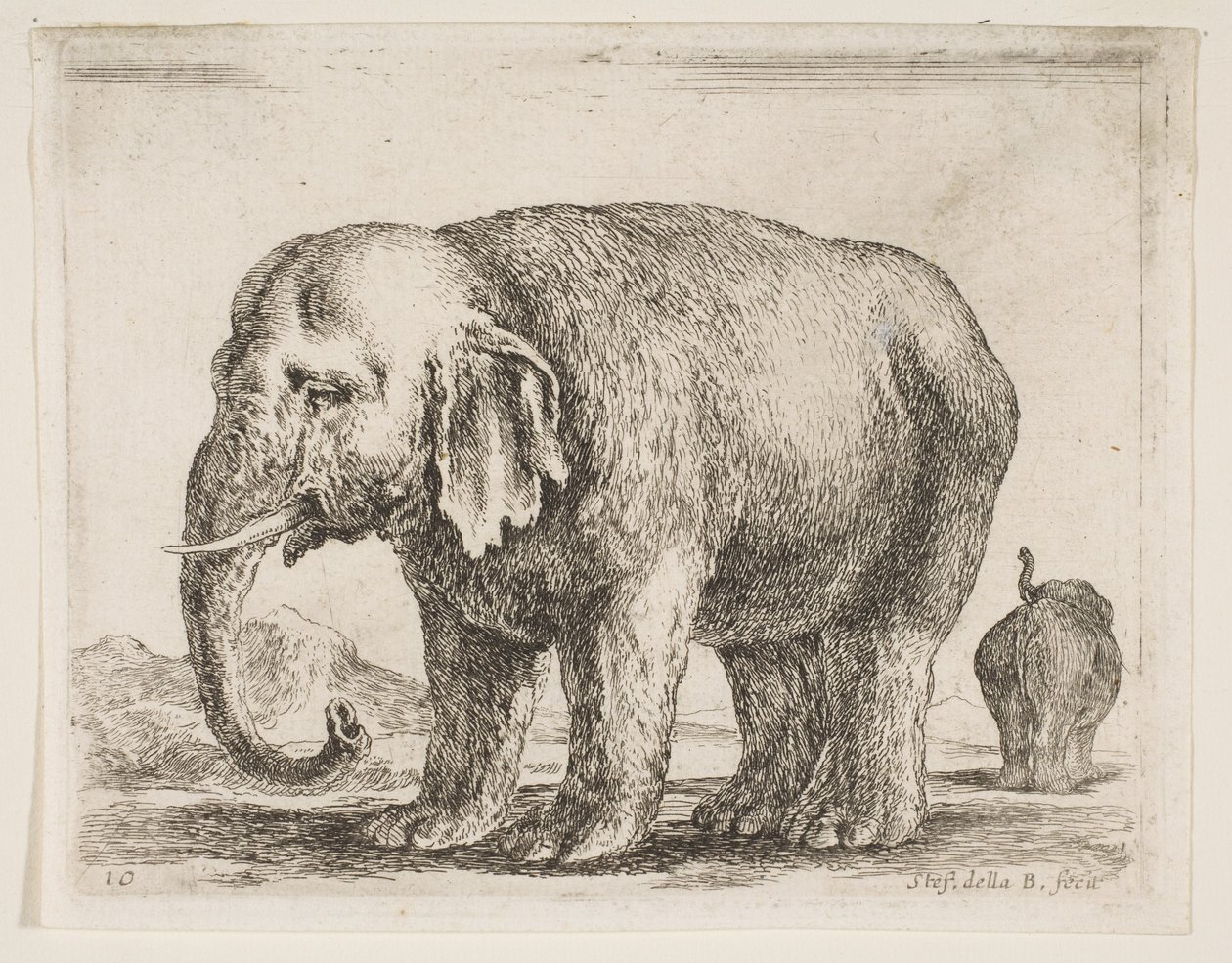 Deska 10: slon, z Různá zvířata Diversi animali, ca. 1641. od Stefano della Bella