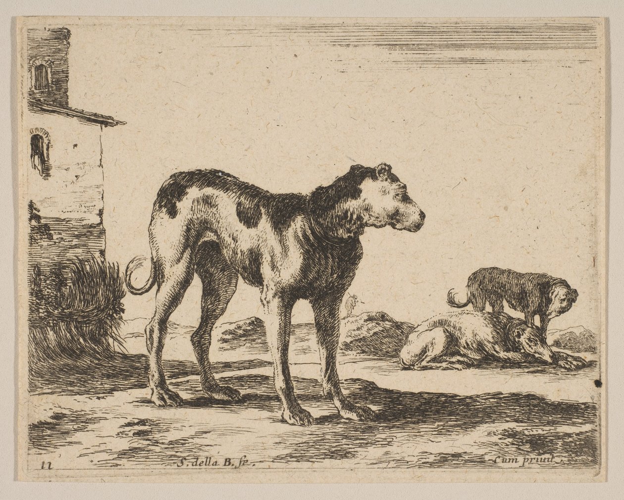 Tabulka 11: psi, z Různá zvířata Diversi animali, ca. 1641. od Stefano della Bella