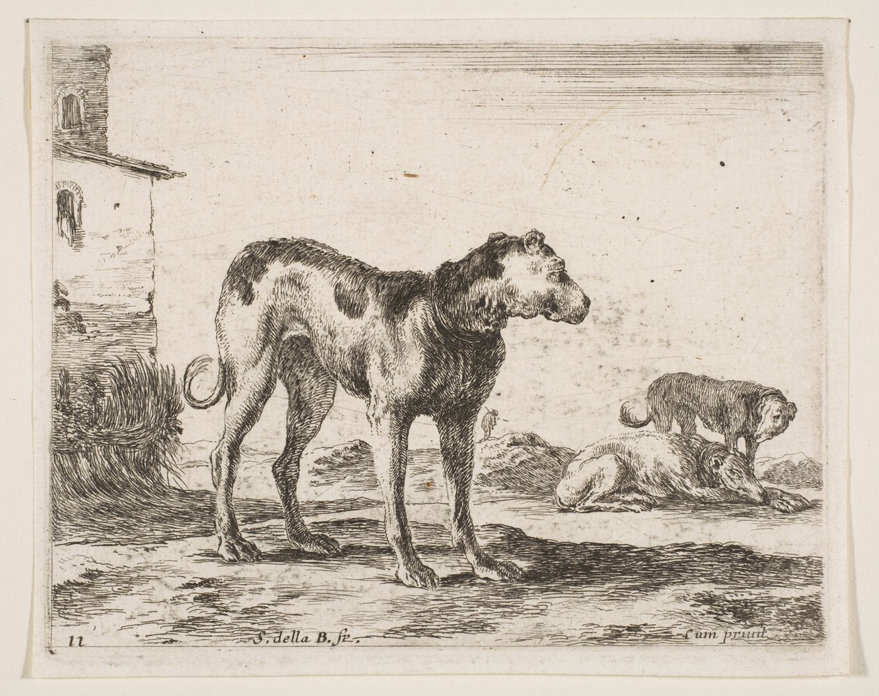 Tabulka 11: psi, z Různá zvířata Diversi animali, ca. 1641. od Stefano della Bella