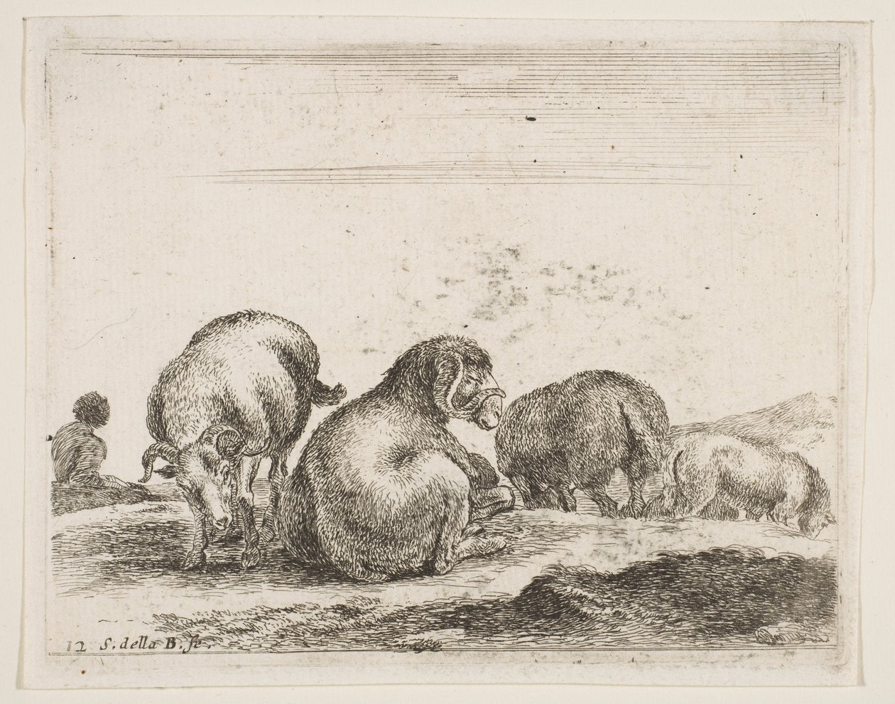 Talíř 12: ovce a beran na pastvě, od Různá zvířata Diversi animali, ca. 1641. od Stefano della Bella