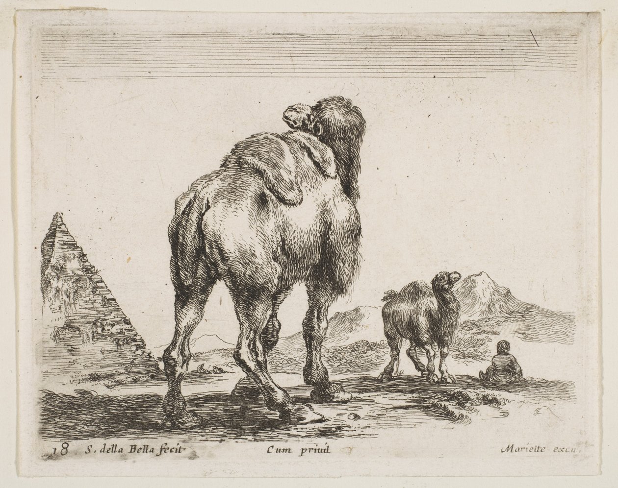 Talíř 18: velbloud při pohledu zezadu s pyramidou vlevo, ze strany Různá zvířata Potápěč..., ca. 1641. od Stefano della Bella