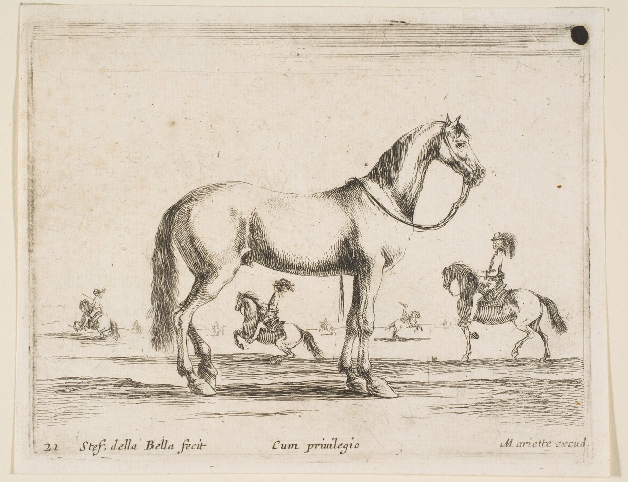 Deska 21: kůň, z Různá zvířata Diversi animali, 1641. od Stefano della Bella