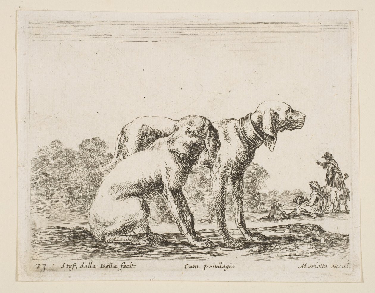 Deska 23: dva psi, od Různá zvířata Diversi animali, ca. 1641. od Stefano della Bella