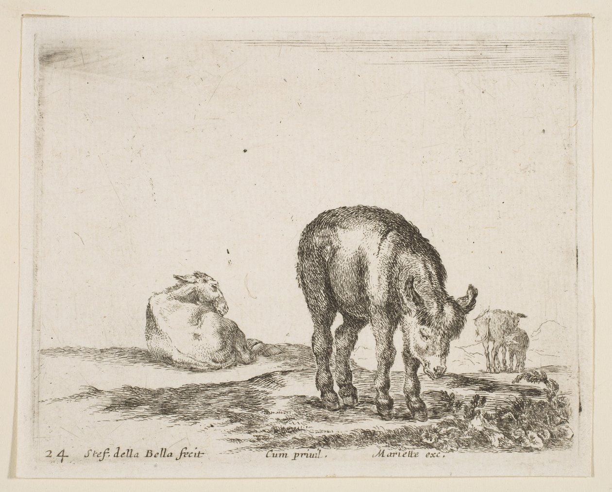 Deska 24: osli, z Různá zvířata Diversi animali, ca. 1641. od Stefano della Bella