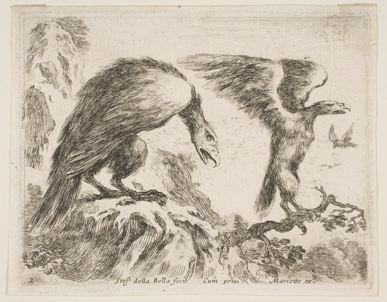 Deska 2: orel a orel, z Různá zvířata Diversi animali, ca. 1641. od Stefano della Bella