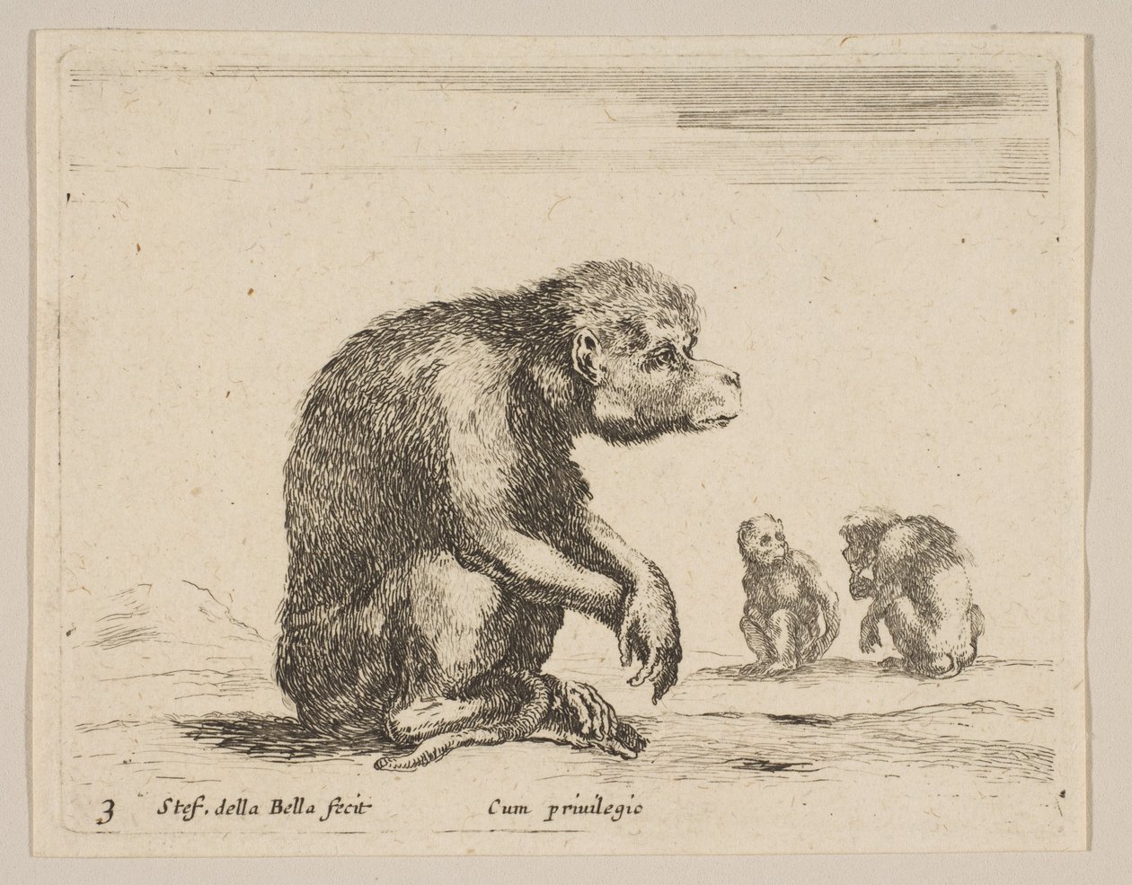 Talíř 3: sedící opice, z Různá zvířata Diversi animali, ca. 1641. od Stefano della Bella