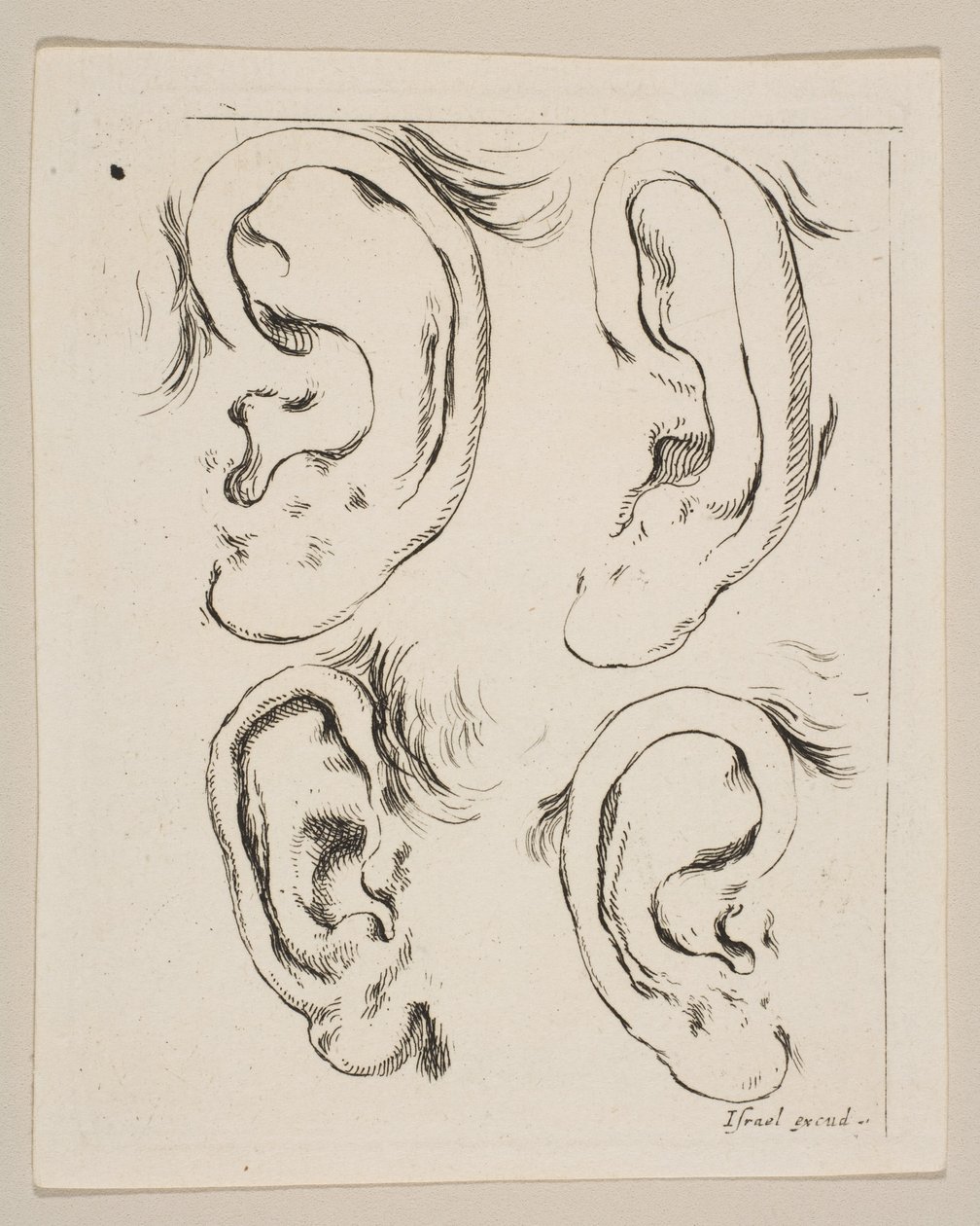 Deska 5: čtyři uši, z Knihy pro výuku kreslení Livre pour apprendre à dessi..., ca. 1649. od Stefano della Bella