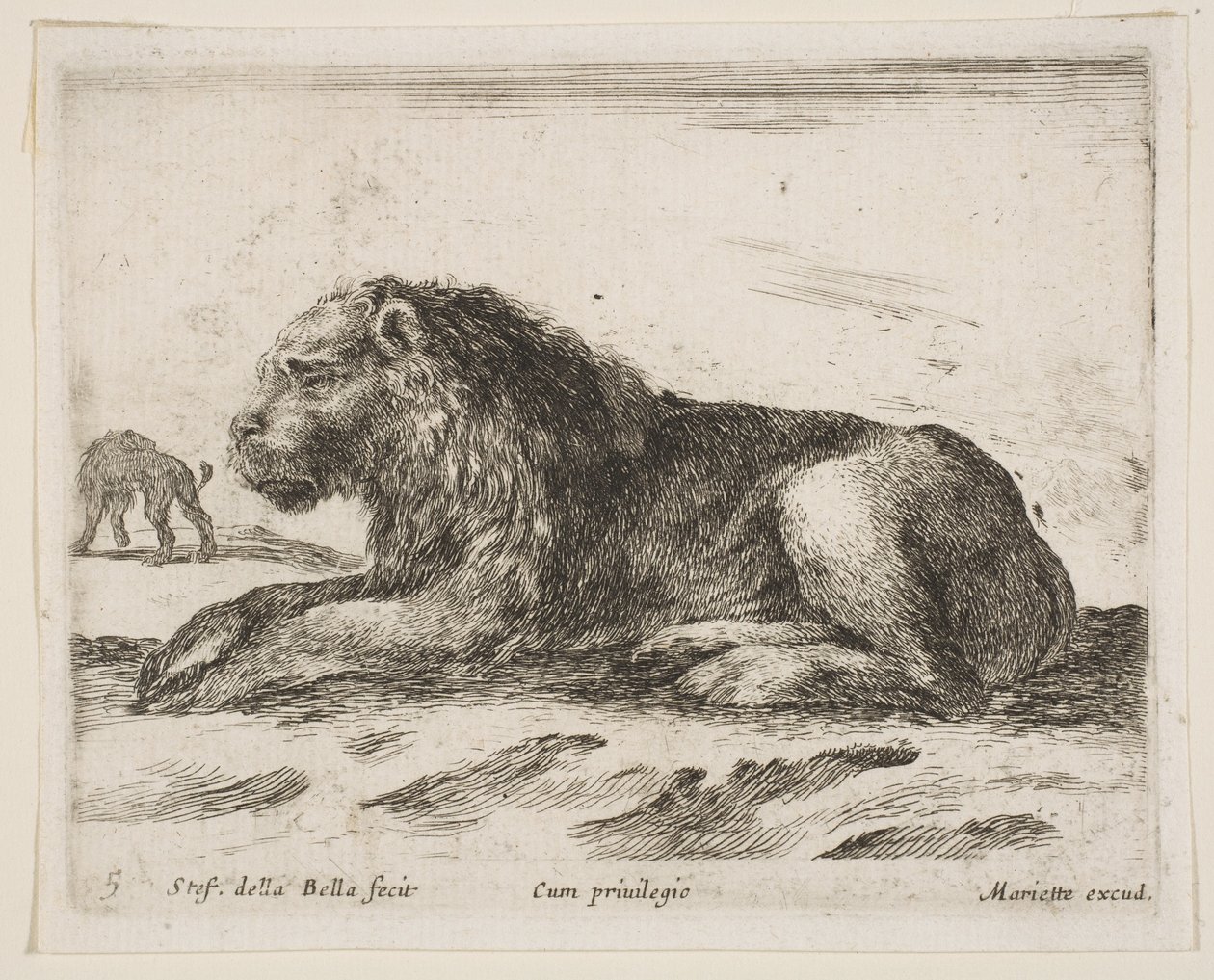 Deska 5: ležící lev, z Různá zvířata Diversi animali, 1641. od Stefano della Bella