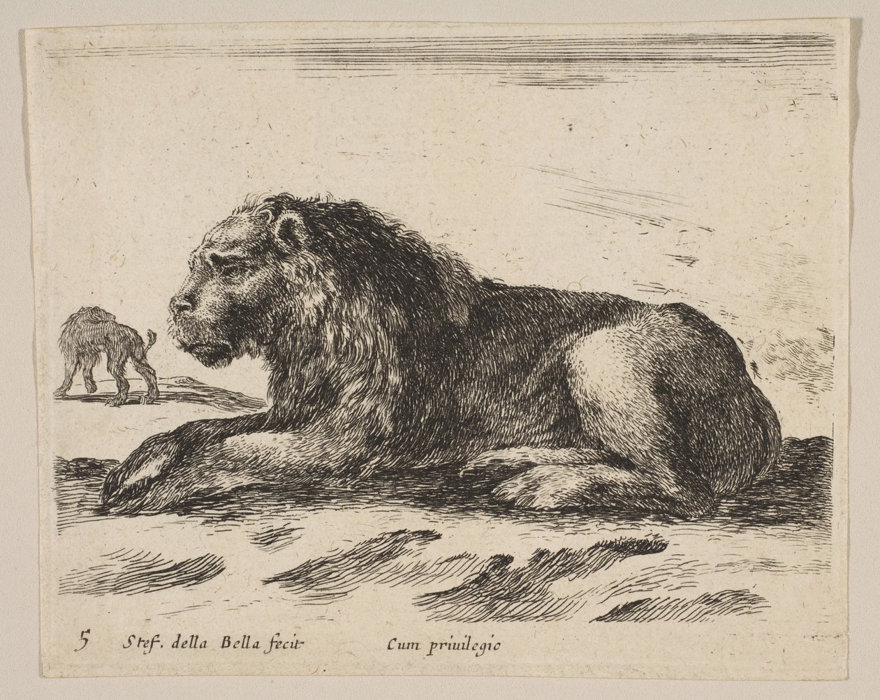 Deska 5: ležící lev, z Různá zvířata Diversi animali, ca. 1641. od Stefano della Bella