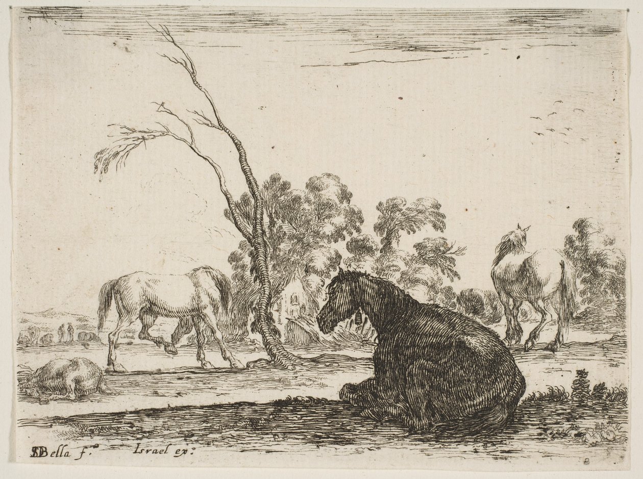 Deska 8: sedící kůň vpravo, při pohledu zezadu a otočený doleva, další tři koně..., 1642. od Stefano della Bella