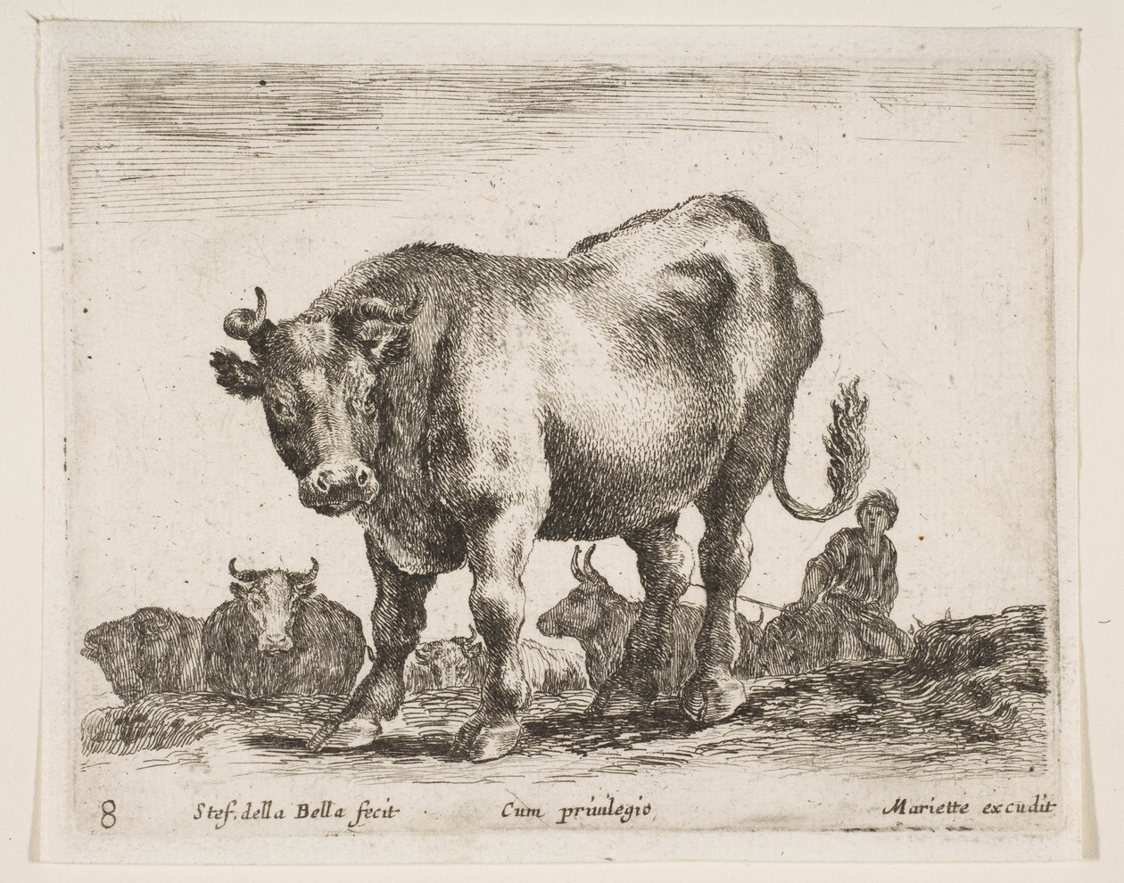 Talíř 8: kráva, z Různá zvířata Diversi animali, ca. 1641. od Stefano della Bella