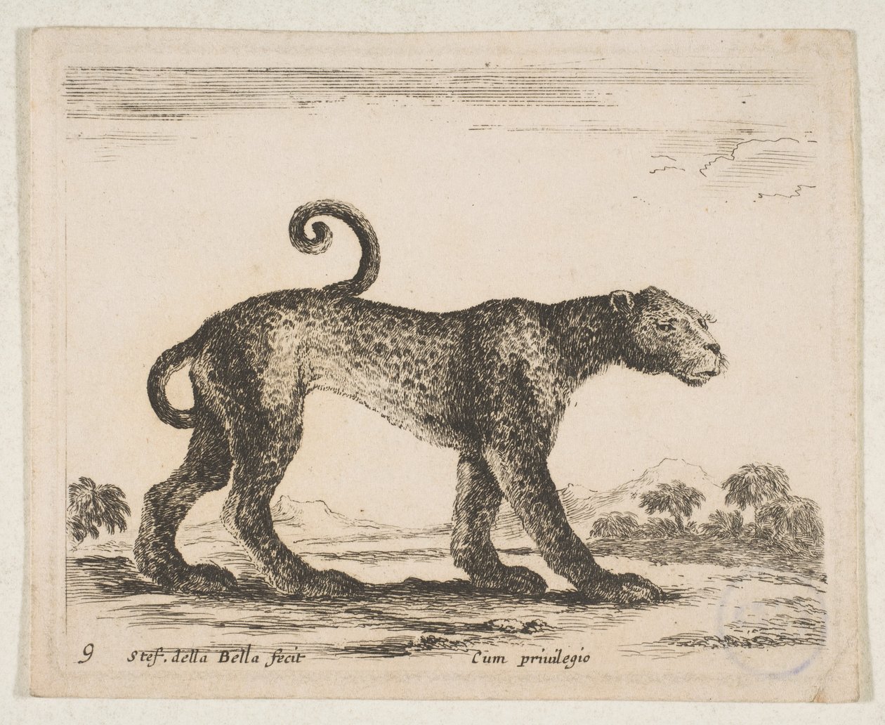 Talíř 9: leopard, z 