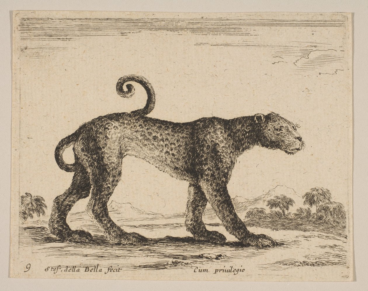 Deska 9: leopard, z Různá zvířata Diversi animali, ca. 1641. od Stefano della Bella