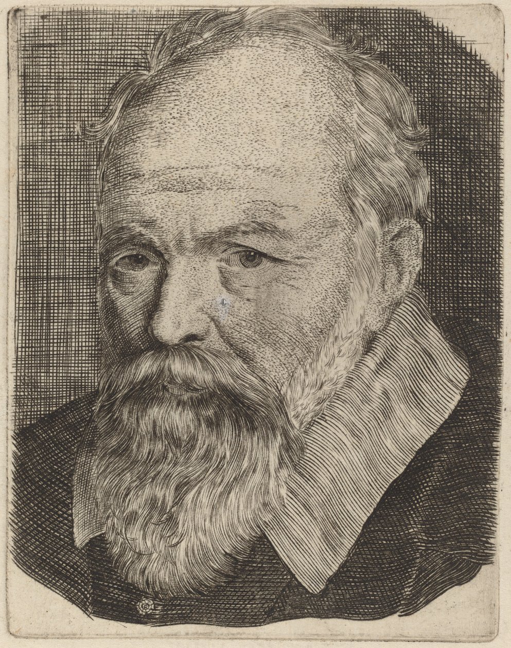 czech od Stefano della Bella