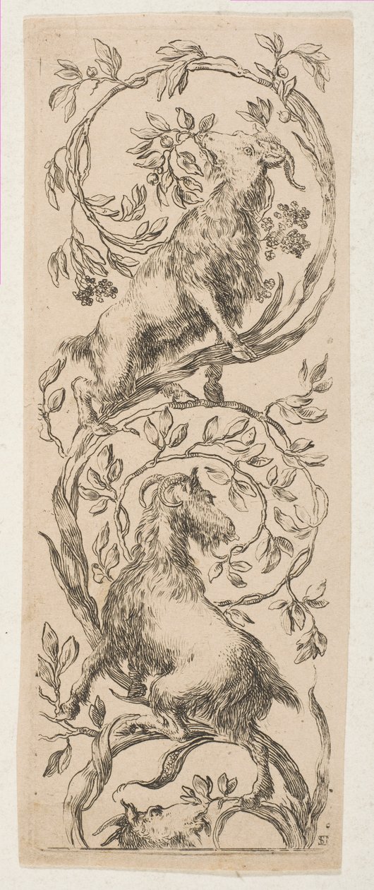 Dvě kozy okusující větve, ca. 1653. od Stefano della Bella