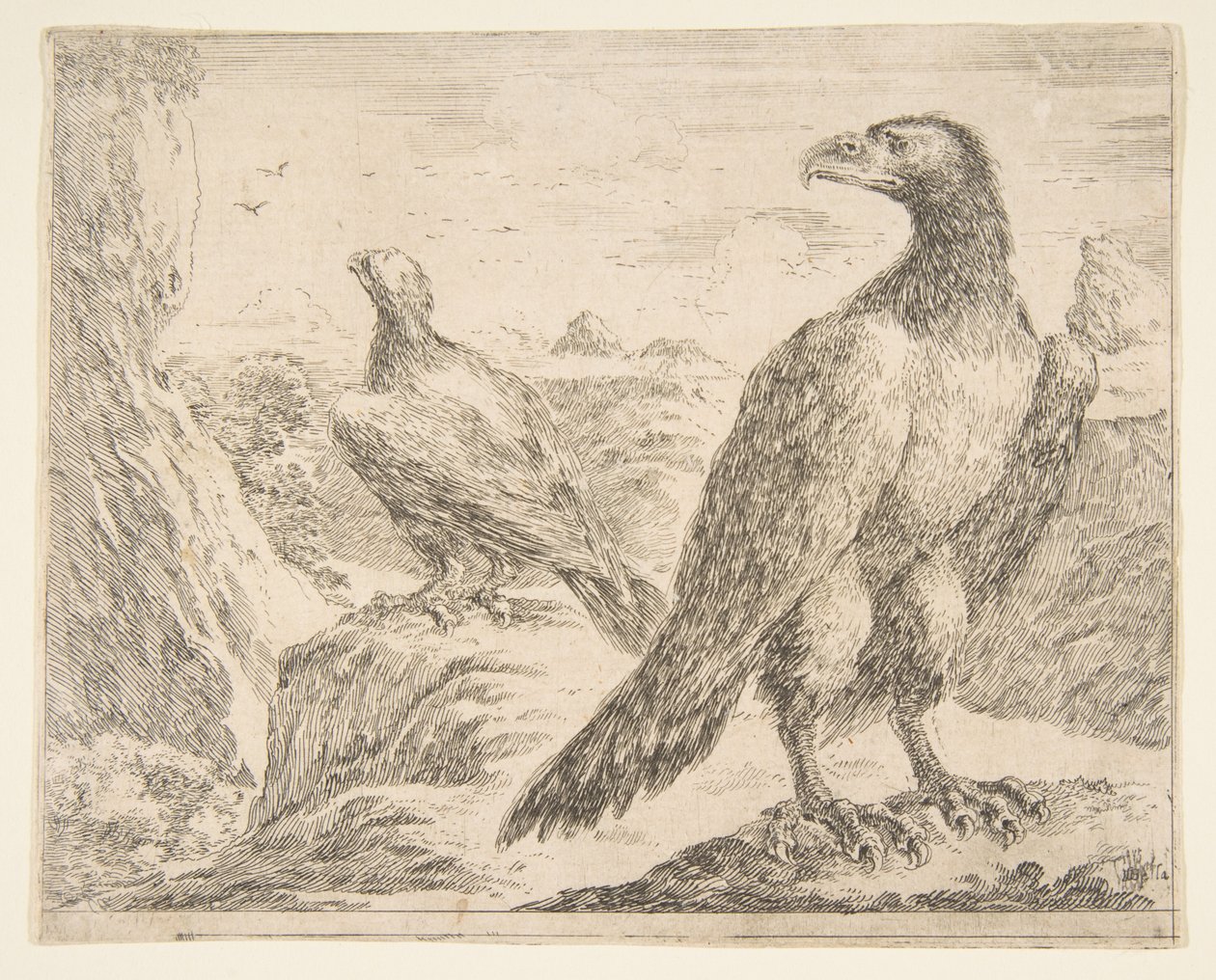 Dva orli, od Eagles Les aigles, ca. 1651. od Stefano della Bella