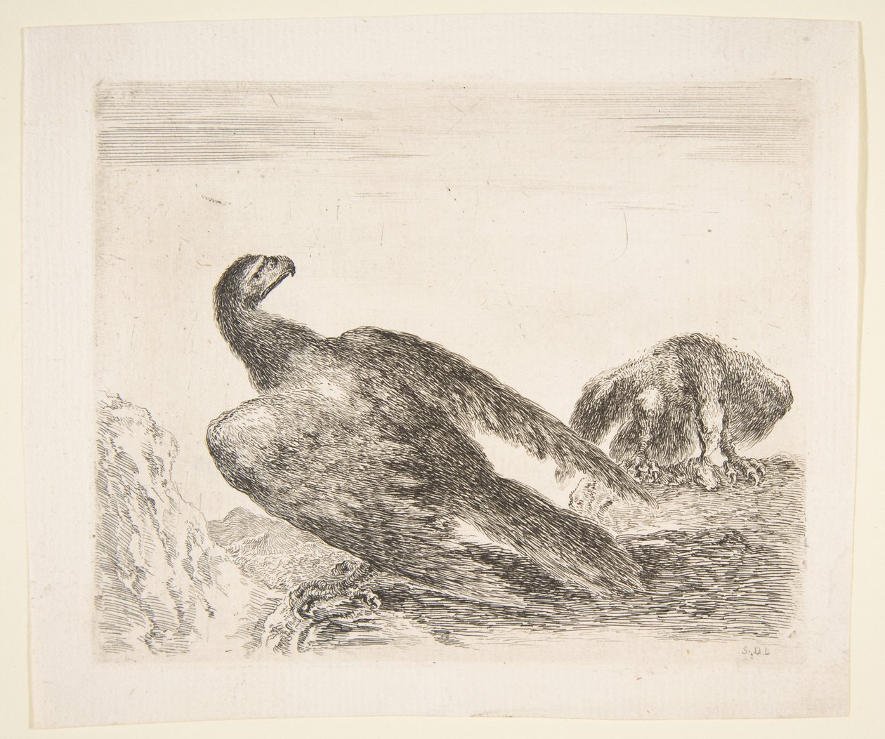 Dva orli, jeden s kořistí, od Eagles Les aigles, ca. 1651. od Stefano della Bella