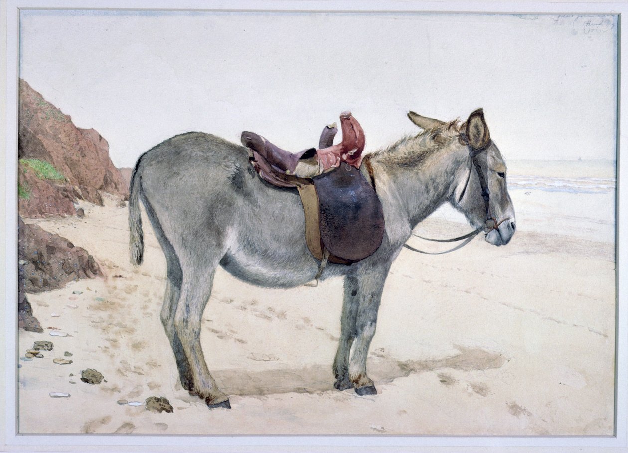 Studie na zvířatech (S.Ex.2-1885) od Stephen Briggs Carlil