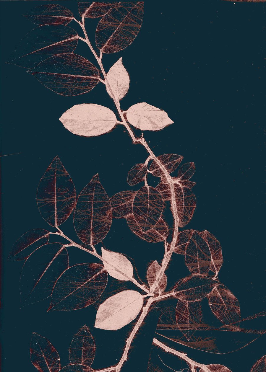 Freyr VII Dark Copper, 2018 (digitální) od Stephen Dow