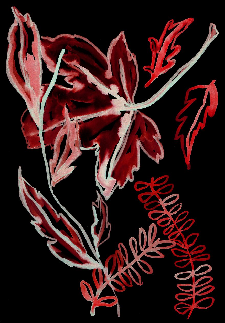 Noční flóra I, 2018 (digitální) od Stephen Dow