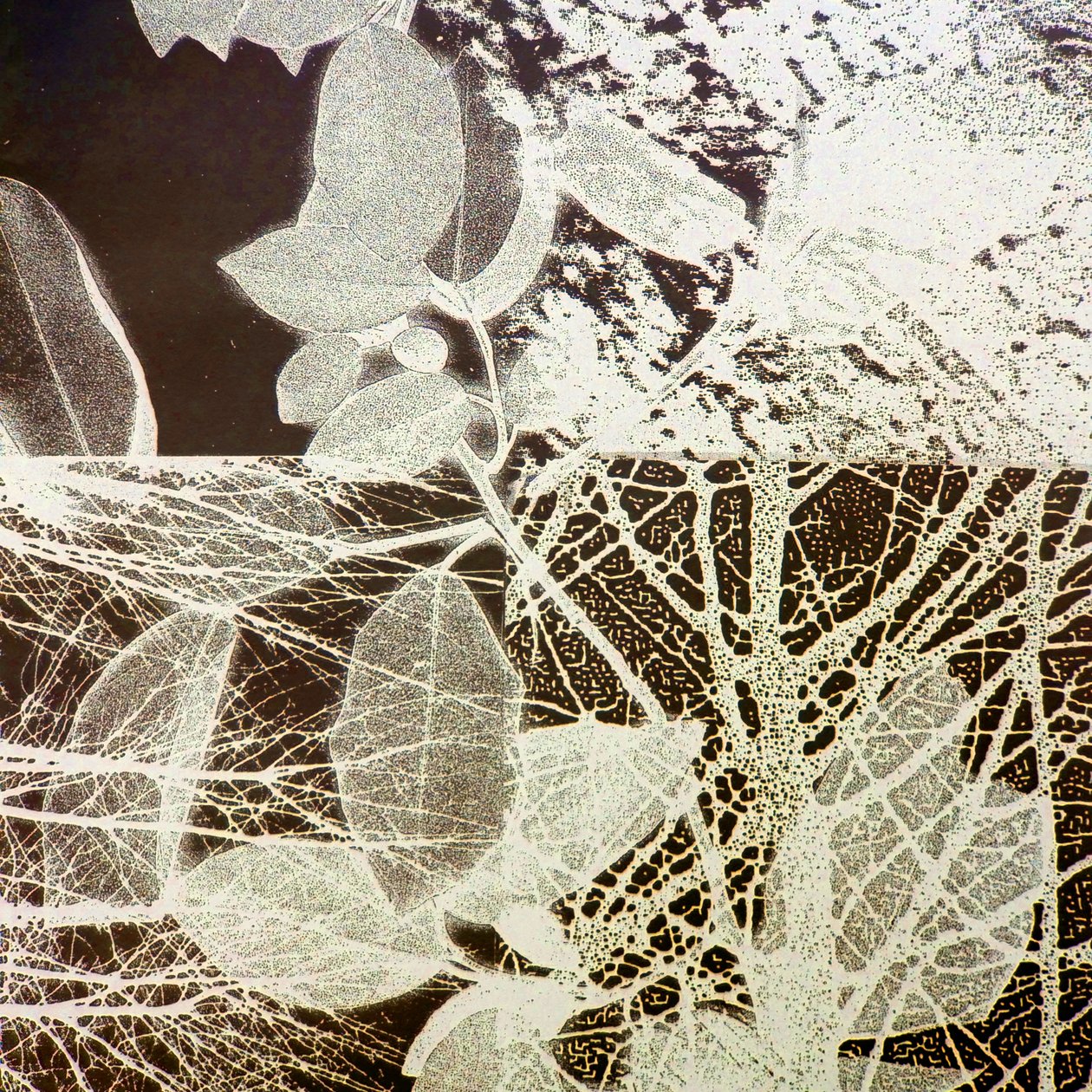 Noční les, 2018 (digitální) od Stephen Dow