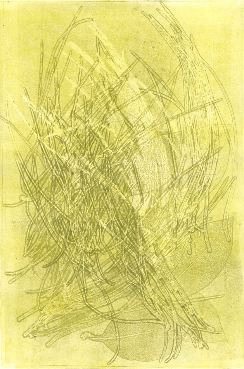 Letní zahrada V, 2015 (monotisk na papíře) od Stephen Dow