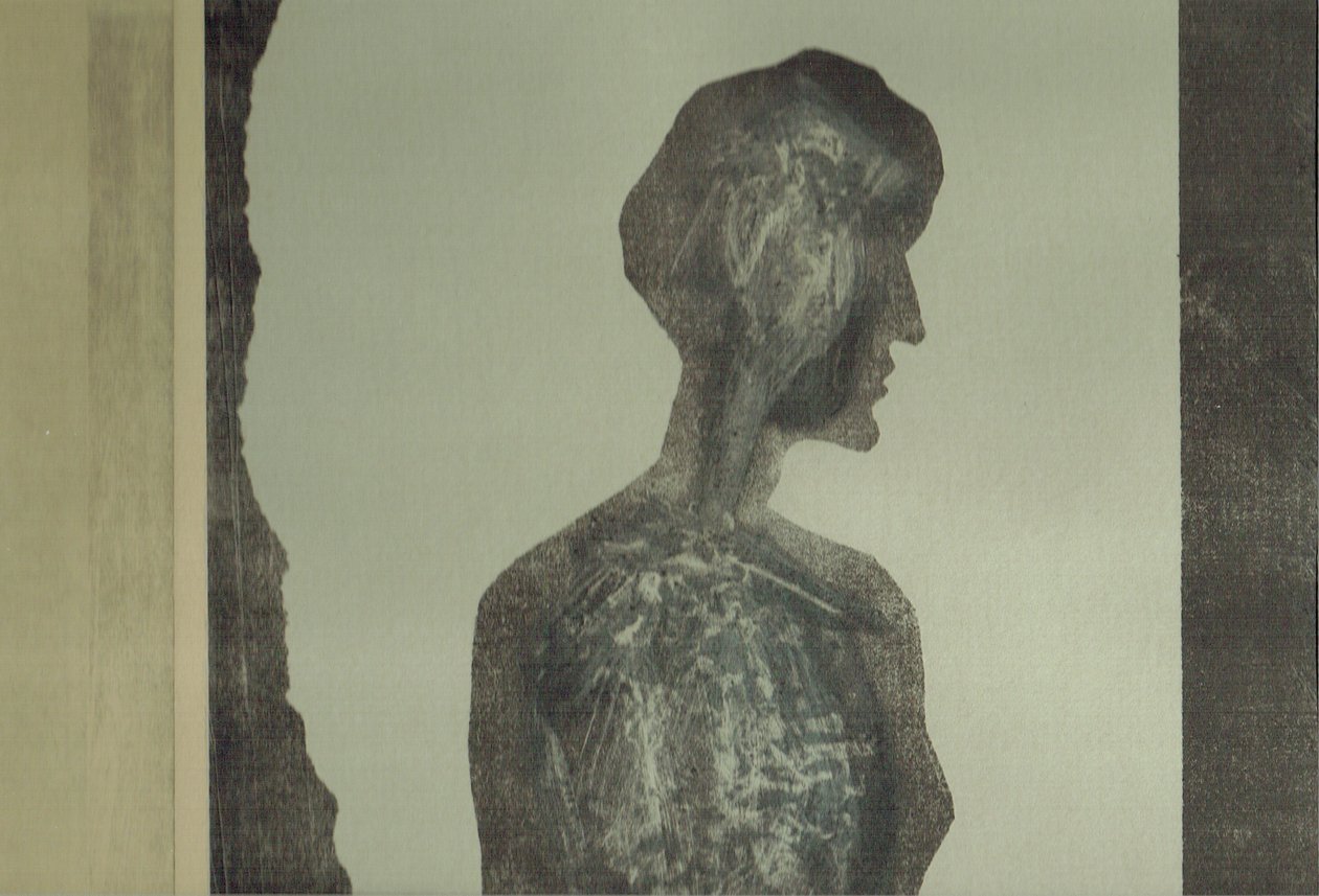 la Foret XII, 2017 (koláž) od Stephen Dow