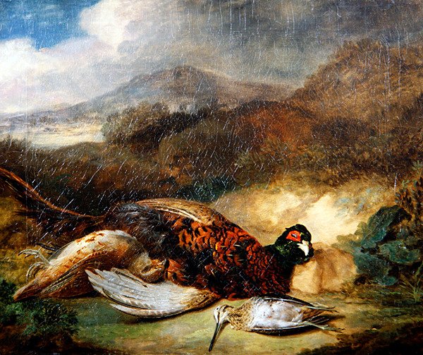 Bažant a Woodcock in a Country Landscape (olej na plátně) od Stephen Elmer