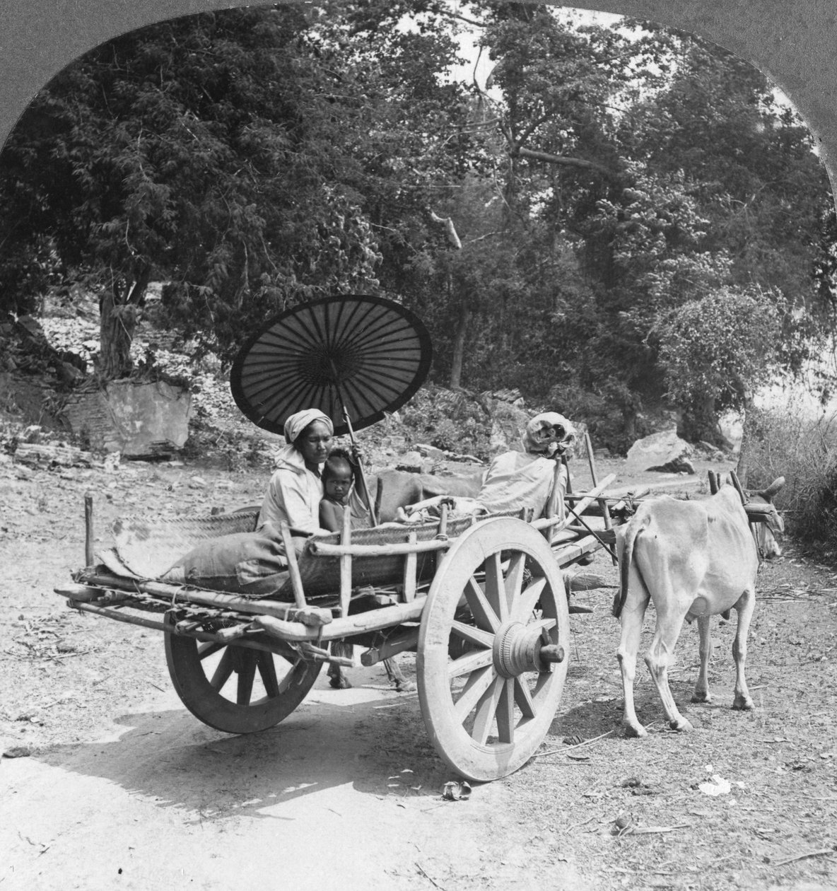 Rodina na cestě džunglí poblíž Mingun, Barma, 1908 od Stereo Travel Co