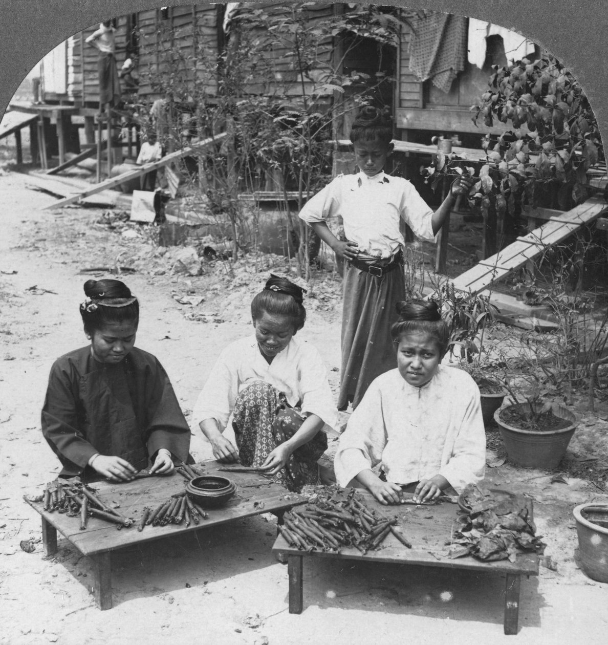 Výroba obrovských doutníků kouřených ženami, Barma, 1908 od Stereo Travel Co
